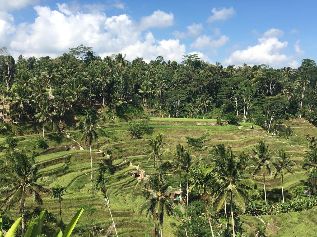 Villa Maha Ubud  Ngoại thất bức ảnh